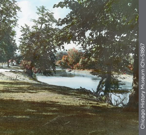 A photograph of a river bank along the Des Plaines River